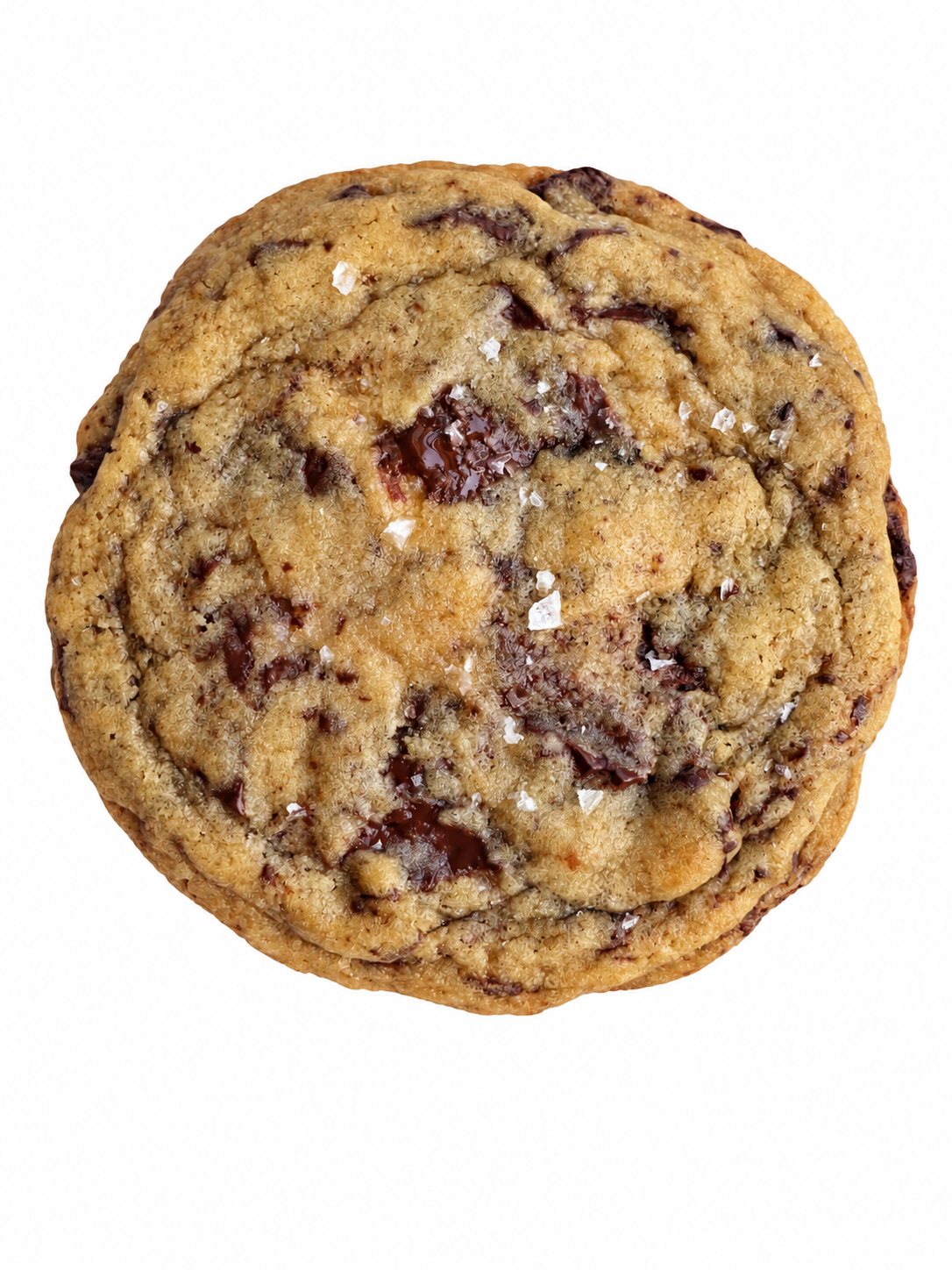 Dark Chocolate Sea Salt Cookie
