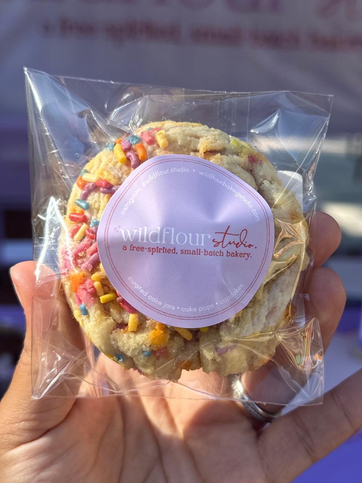 Celebration Sugar Cookie