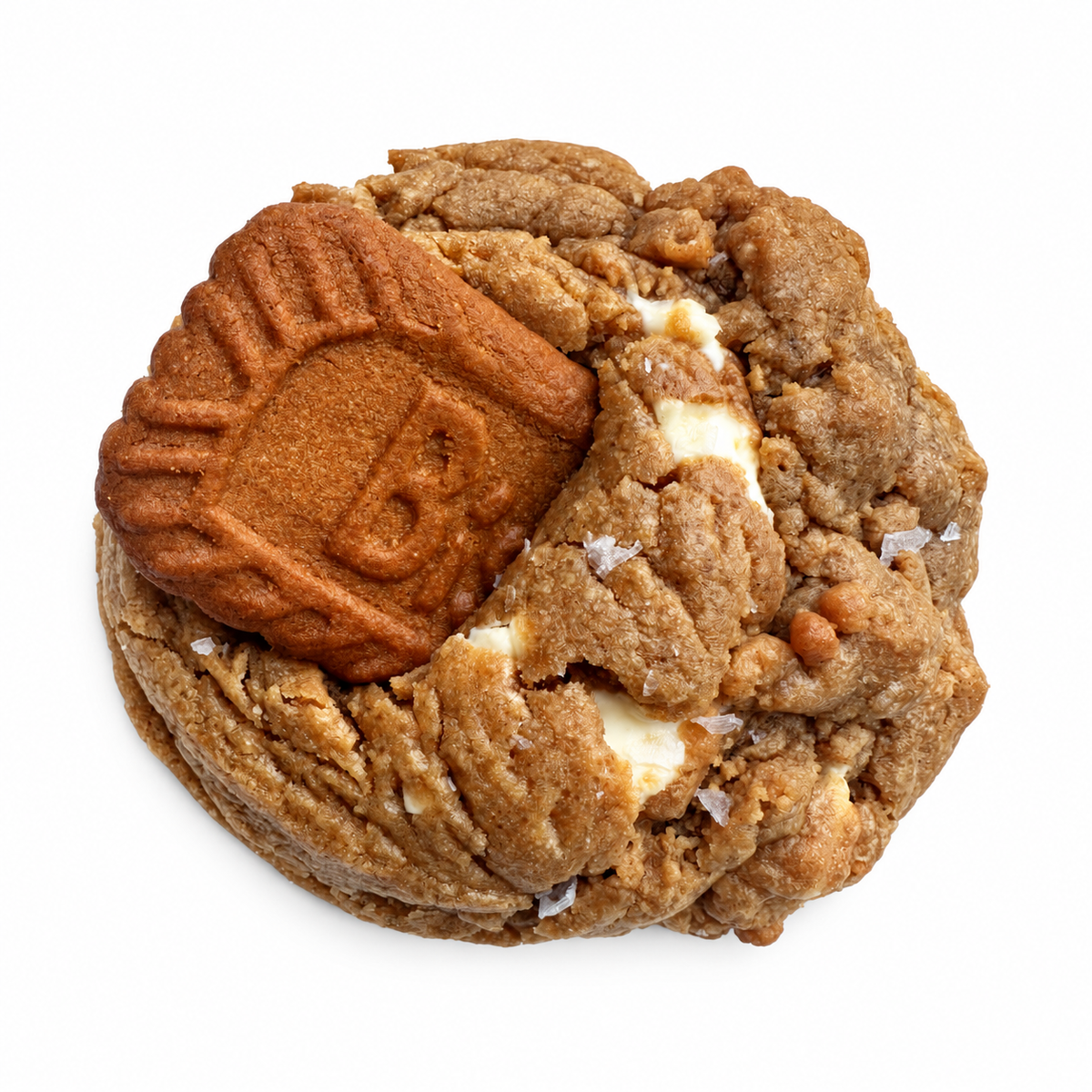 White Chocolate Chunk Cookie Butter Cookie